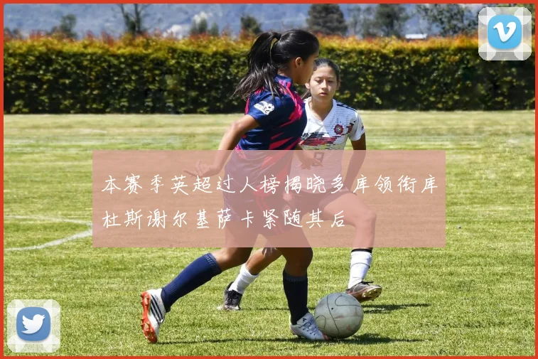 本赛季英超过人榜揭晓多库领衔库杜斯谢尔基萨卡紧随其后